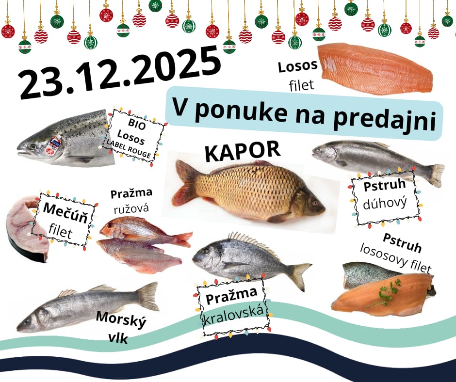 WhatsApp Image 2025-12-22 at 23.43.23